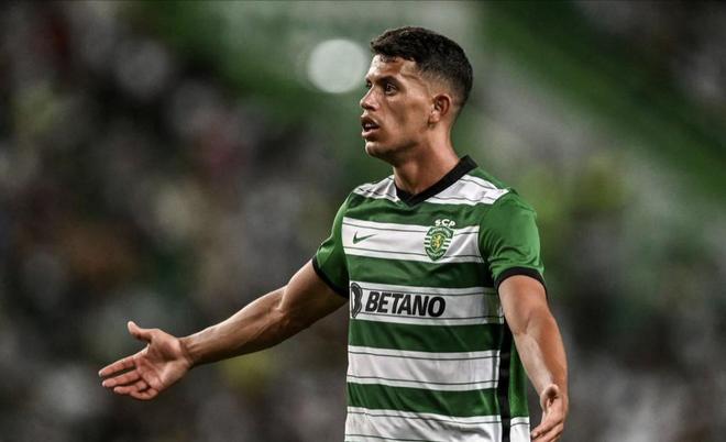 巴萨因球迷 巴萨因球迷