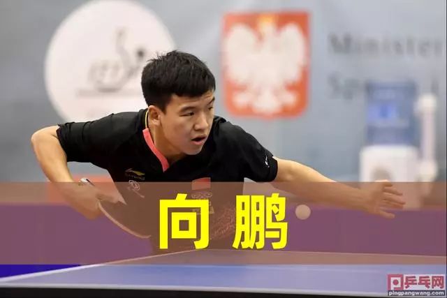 现寄予厚望 现寄予厚望